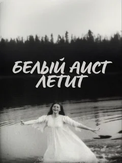  Белый аист летит 