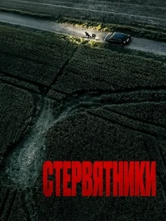  Стервятники 