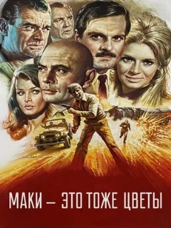  Маки – это тоже цветы 